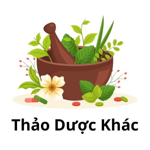  Sản Phẩm Khác